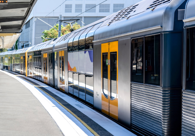 Limitatori di coppia per porte automatiche